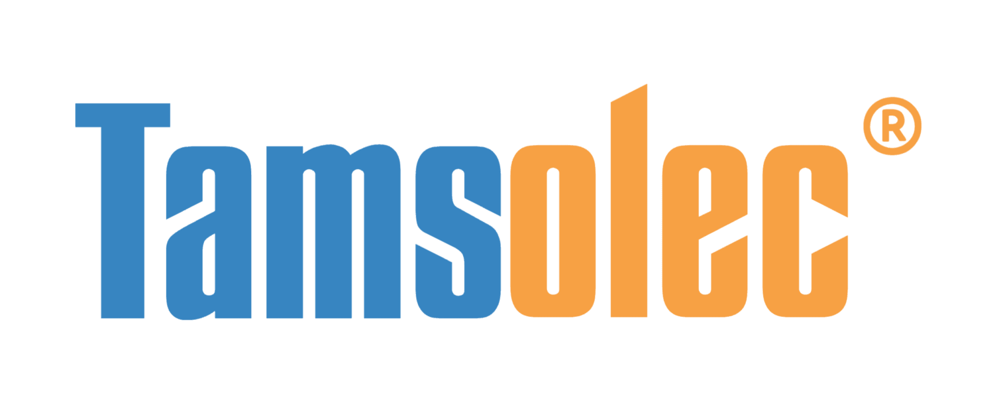 TamSoft logo